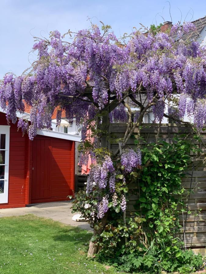 Ferienwohnung 3-Zimmer, 58 qm mit Garten, zum Strand 300 m mit Komfort-Ausstattung Timmendorfer Strand Exterior foto